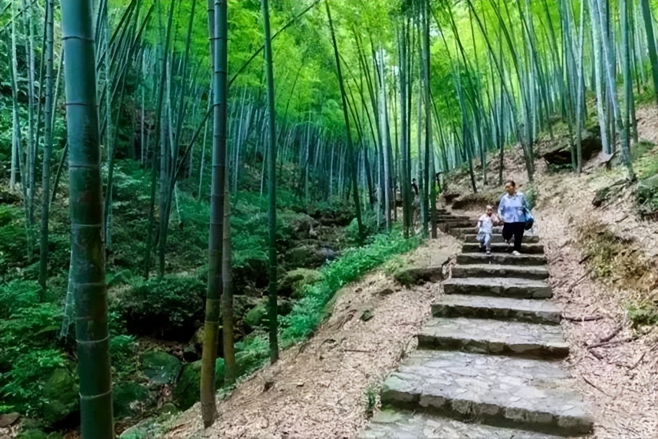 邛崃川西竹海攻略,邛崃竹海徒步攻略