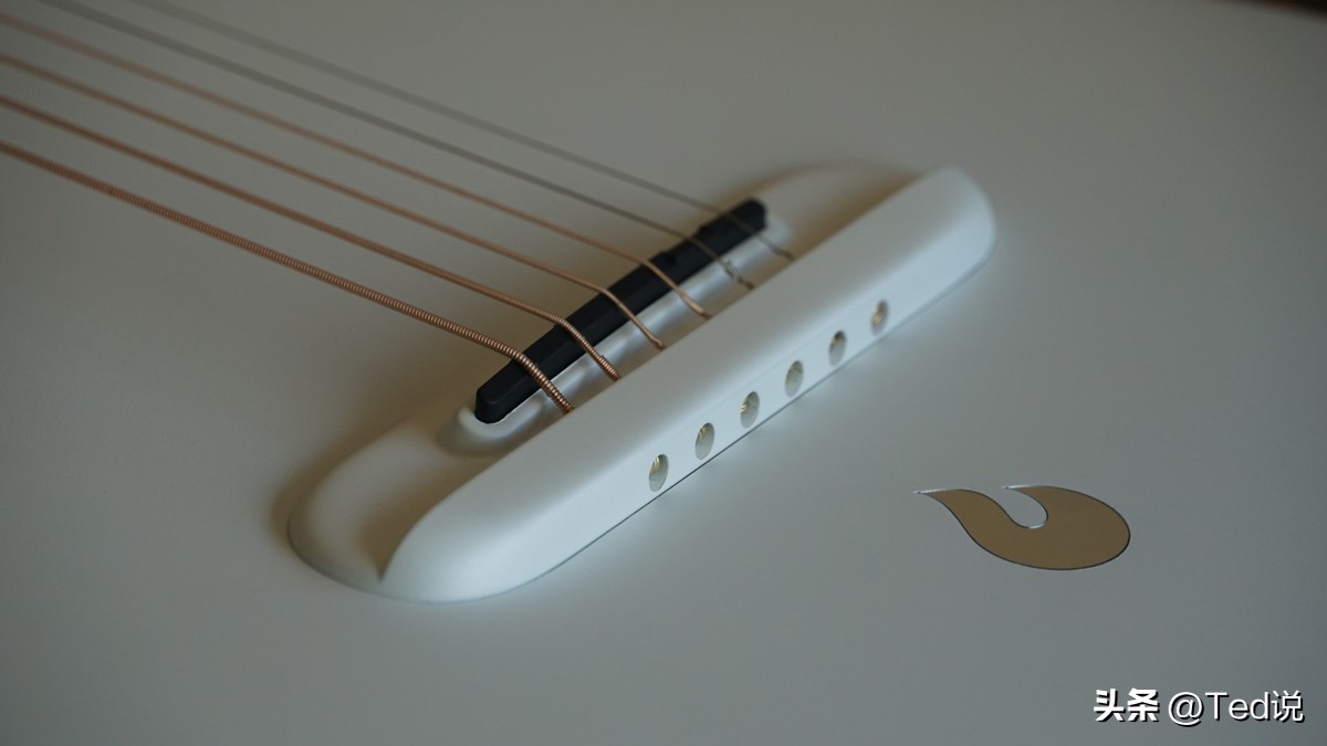 为什么明星都会弹吉他,明星都是用的什么电吉他