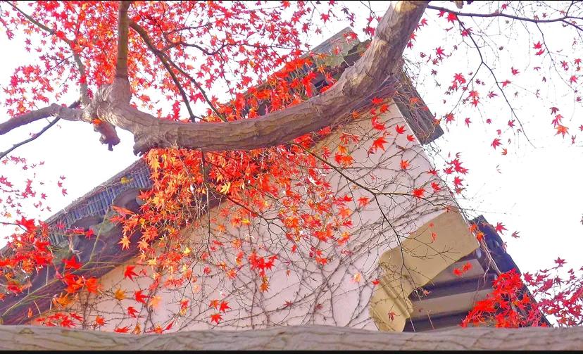 苏州古典园林世界文化遗产介绍,苏州古典园林世界文化遗产