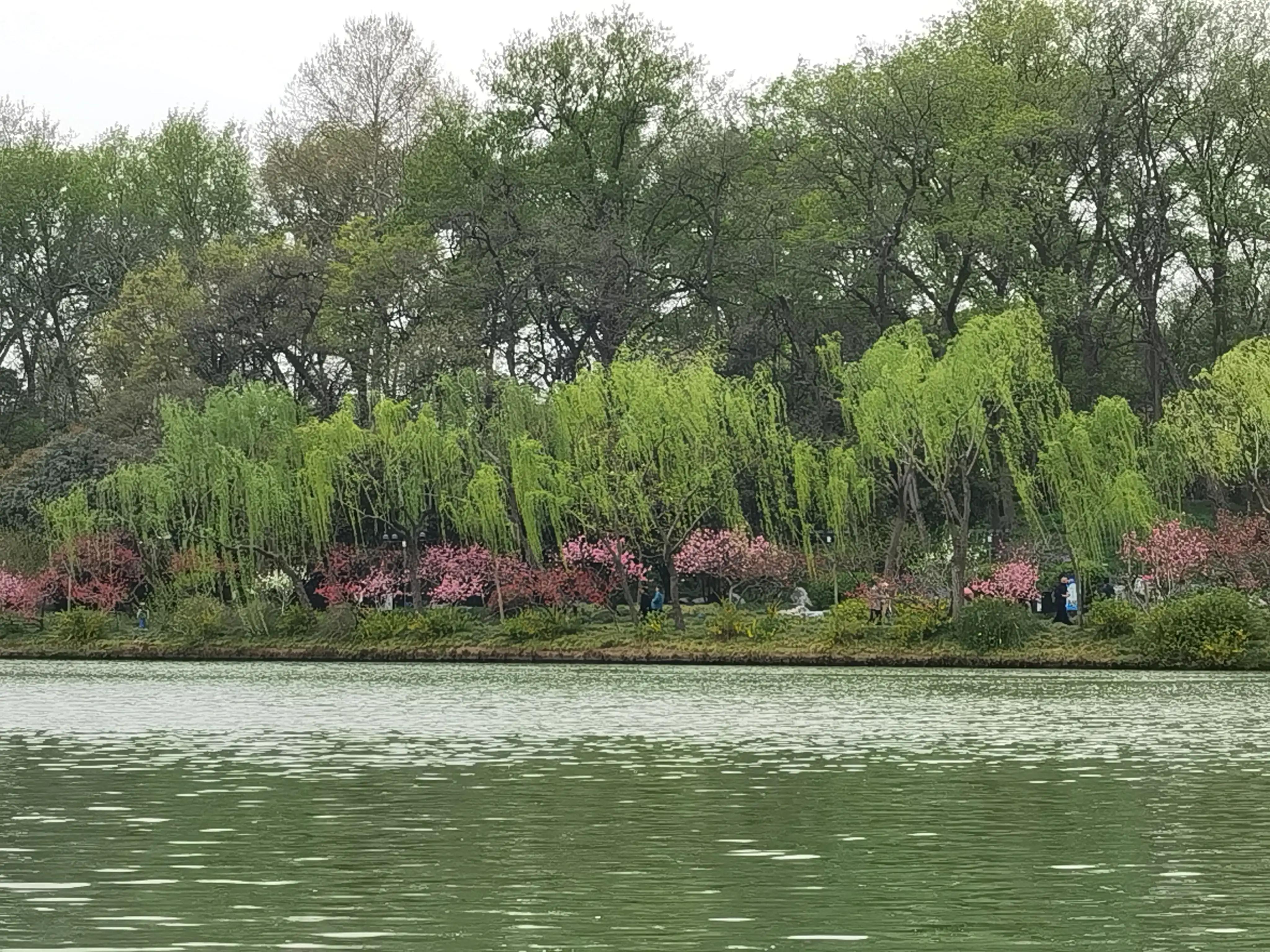 婴语奶声奶气,婴语声音视频