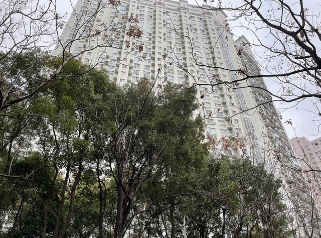 上海最豪横的地段,上海著名富人区街道