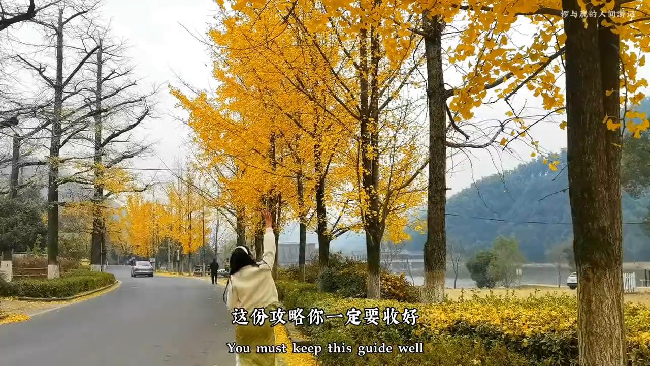 原来湖州长兴那么好玩呀#超好住指南