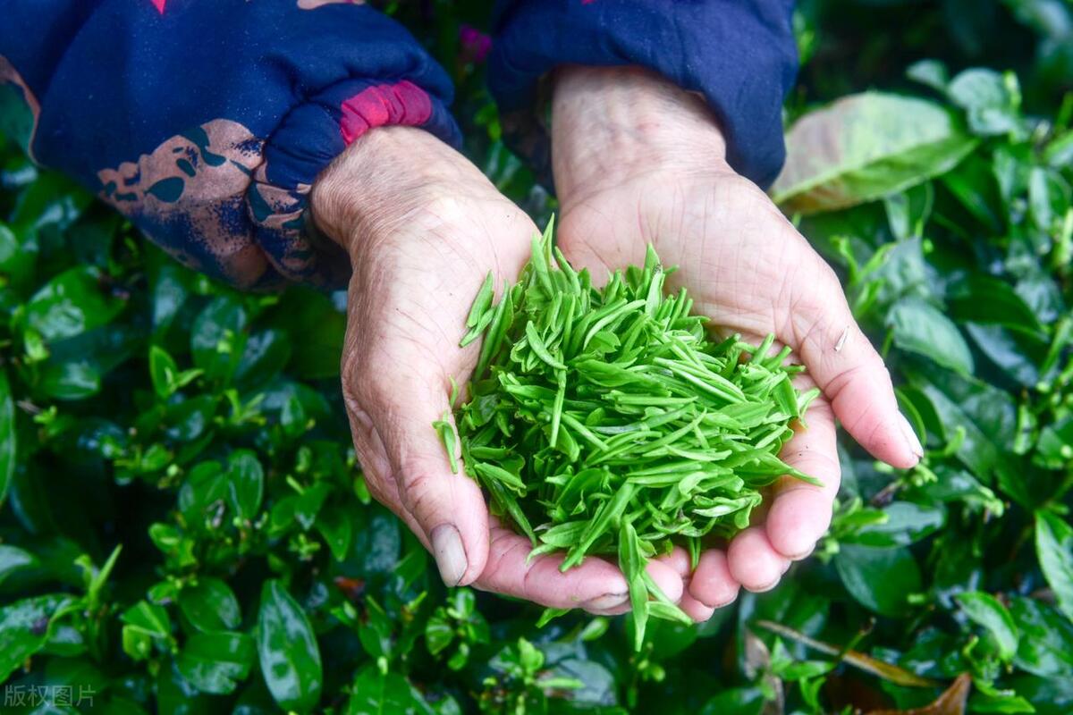 杭州历史文化和城市风貌,杭州历史文化名城图片