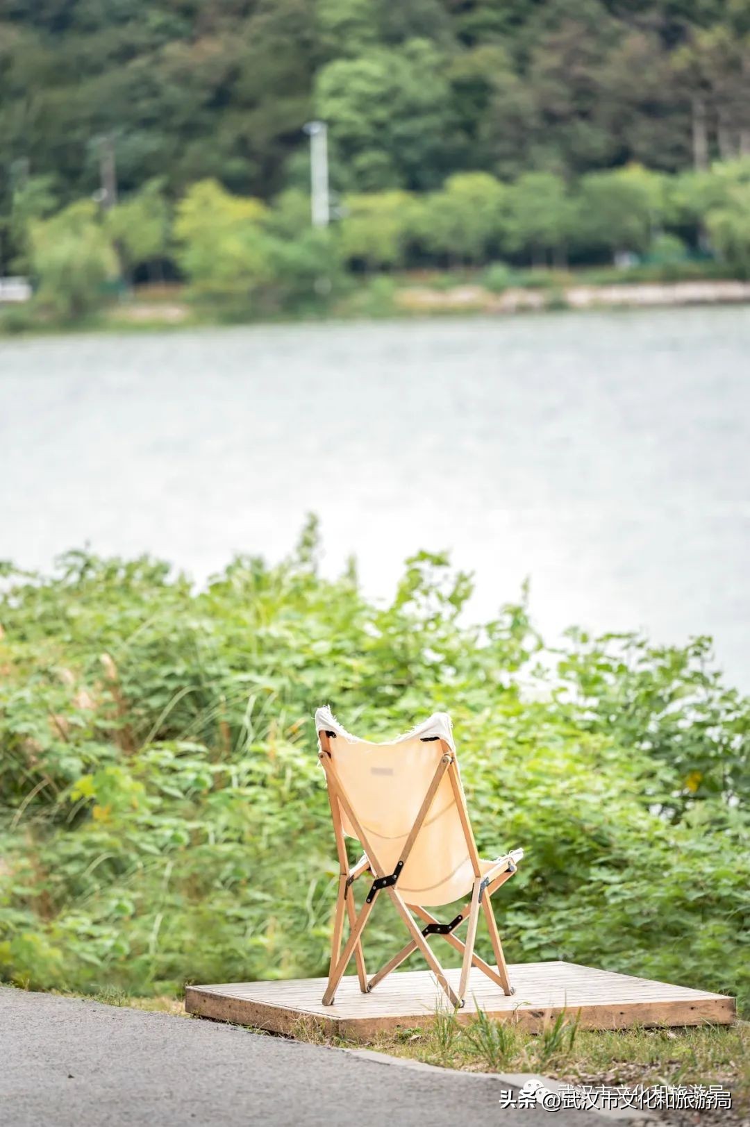 九月，秋风吹进武汉人的小院