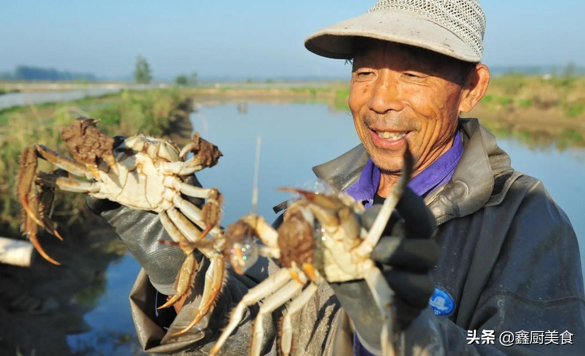 中国的螃蟹哪个地方的最好吃,全国哪个省的螃蟹最便宜
