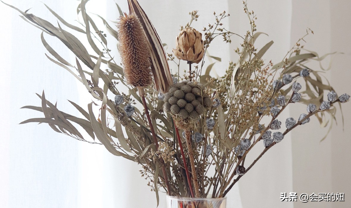 价格便宜且又有实用价值的绿植,家里值得买的绿植