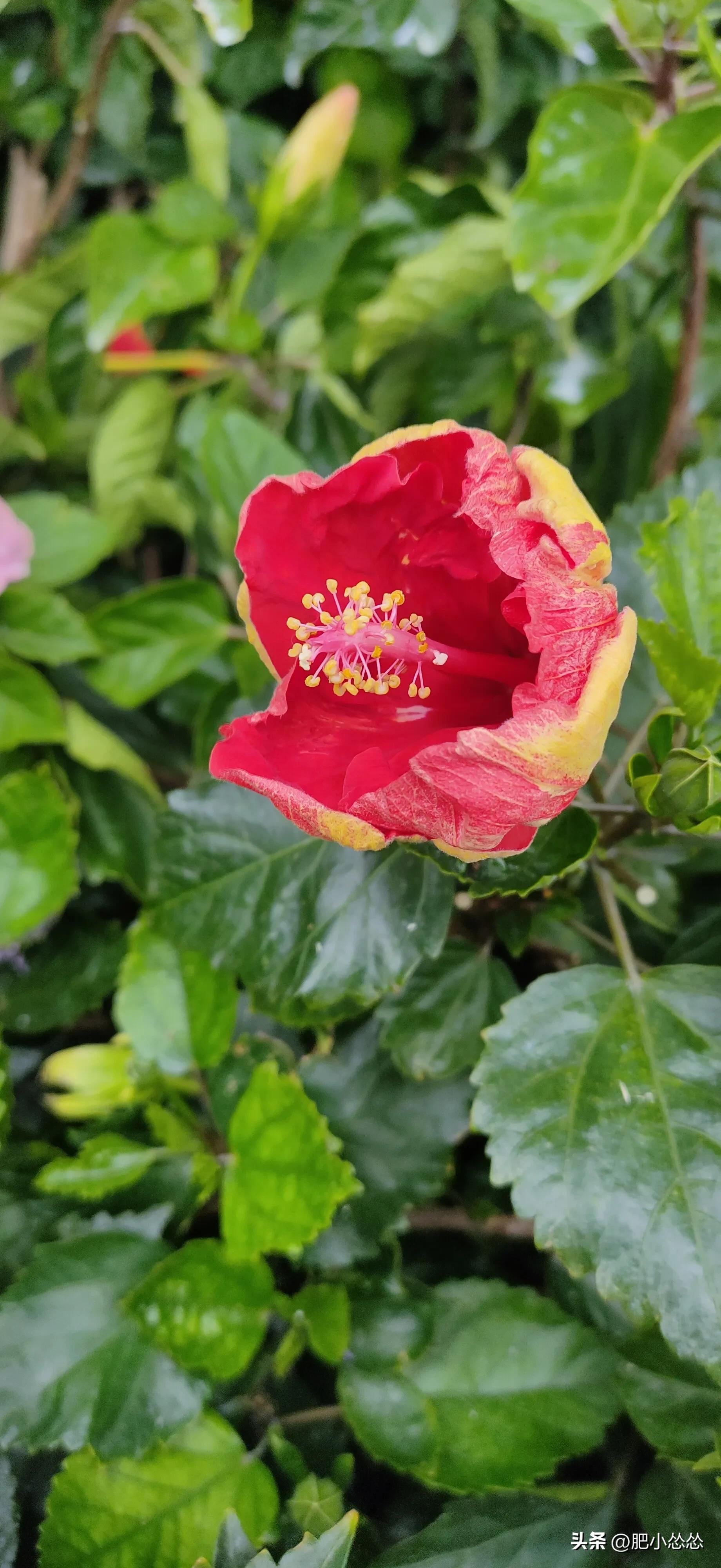 广州免费公园景点大全,广州石门公园门票价格