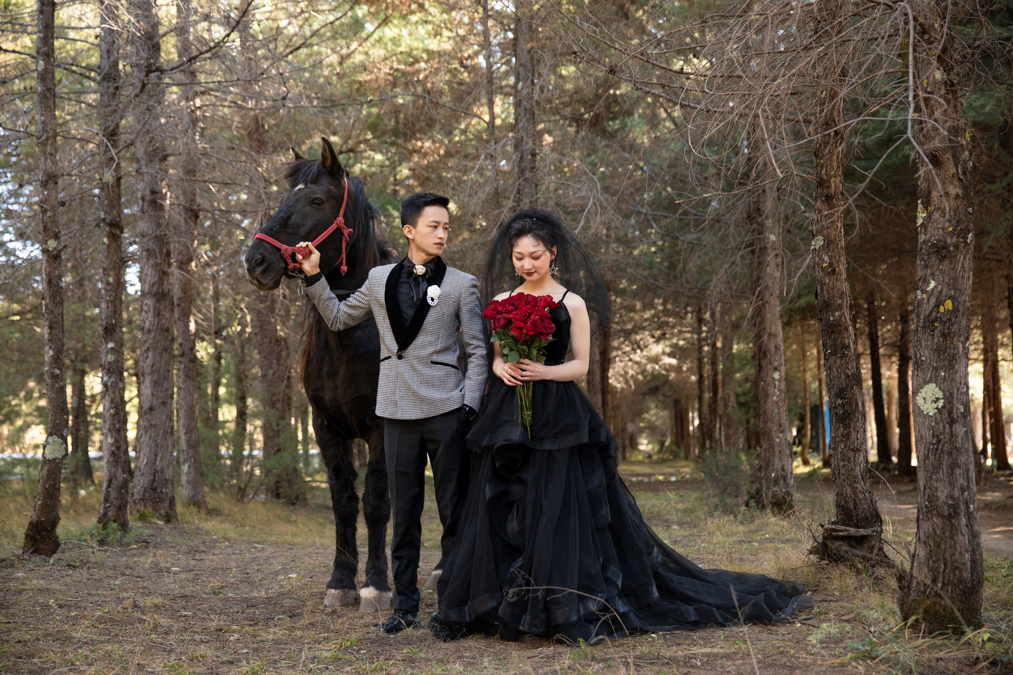 2020年最应该拍的婚纱照类型,现在拍什么风格的4套婚纱照