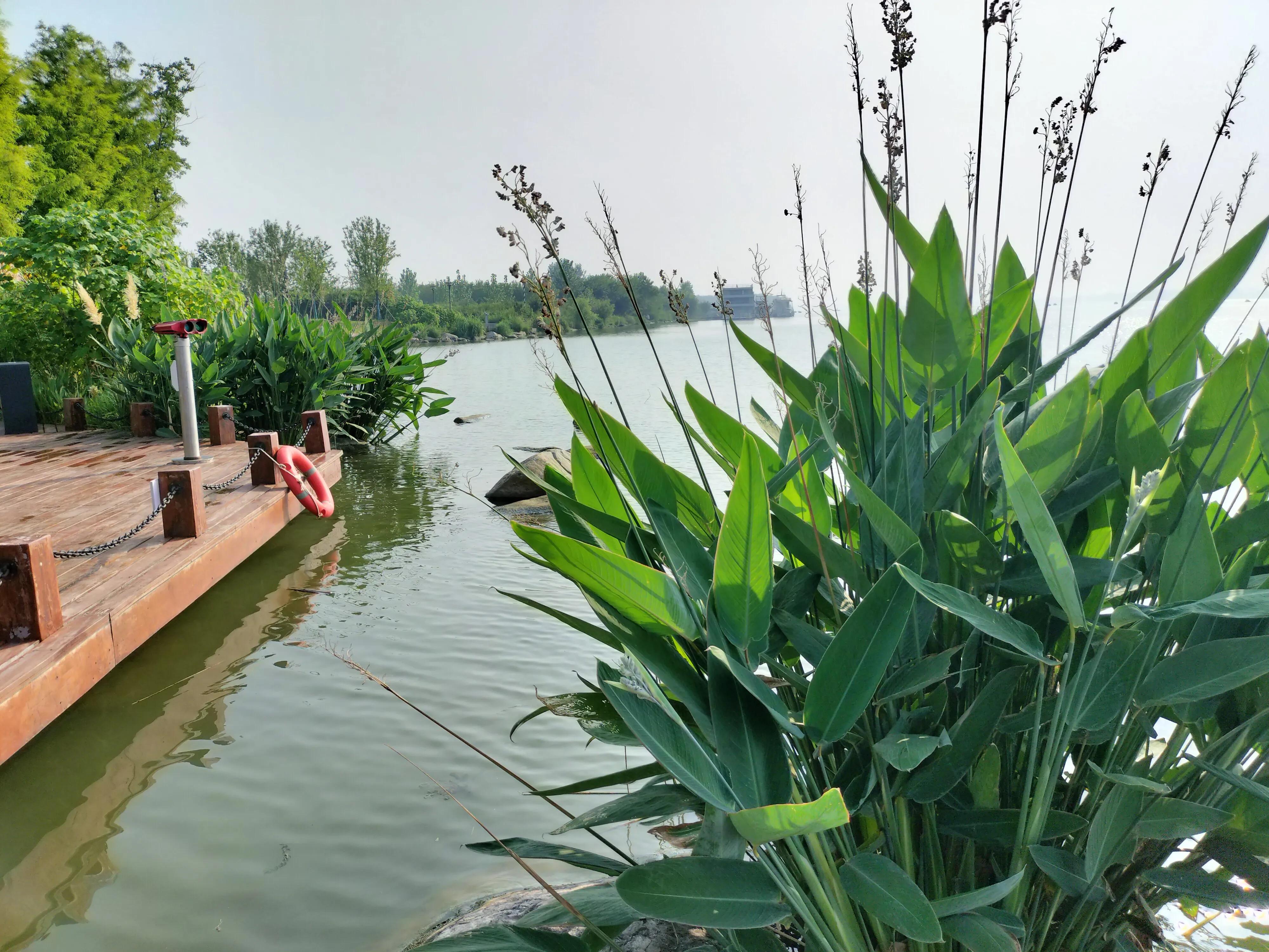 南渠:重拾碧水清波，呈现生态之美