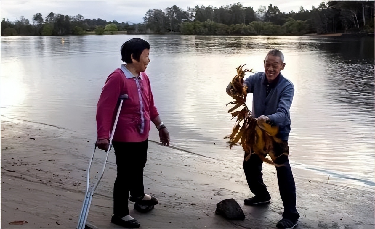 北大学霸将癌晚期父亲骗出国跳伞,北大高材生患癌父亲到国外
