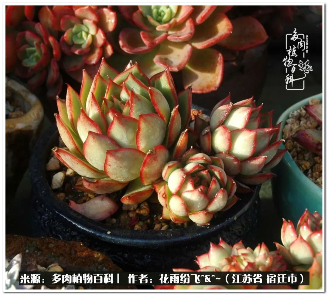 回味童年无忧无虑的快乐时光,童年最快乐的时光