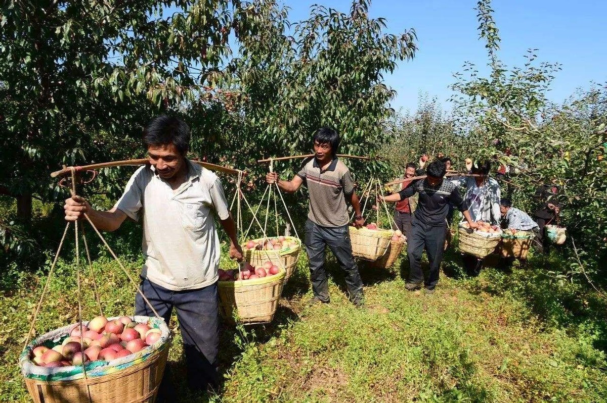 未来农村三大预言一定要看,未来农村的十大预言一定要看
