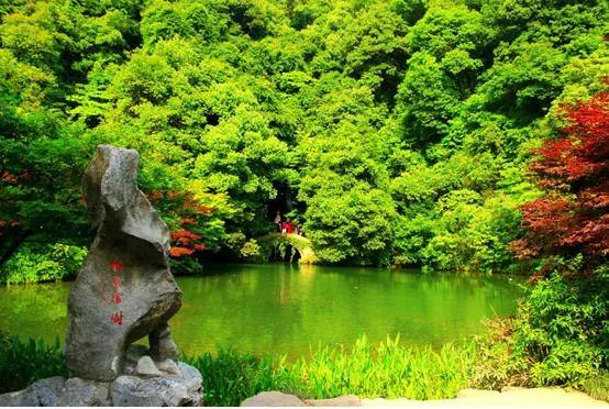 晚上杭州最值得去的五个景点,杭州名胜古迹旅游景点有哪些