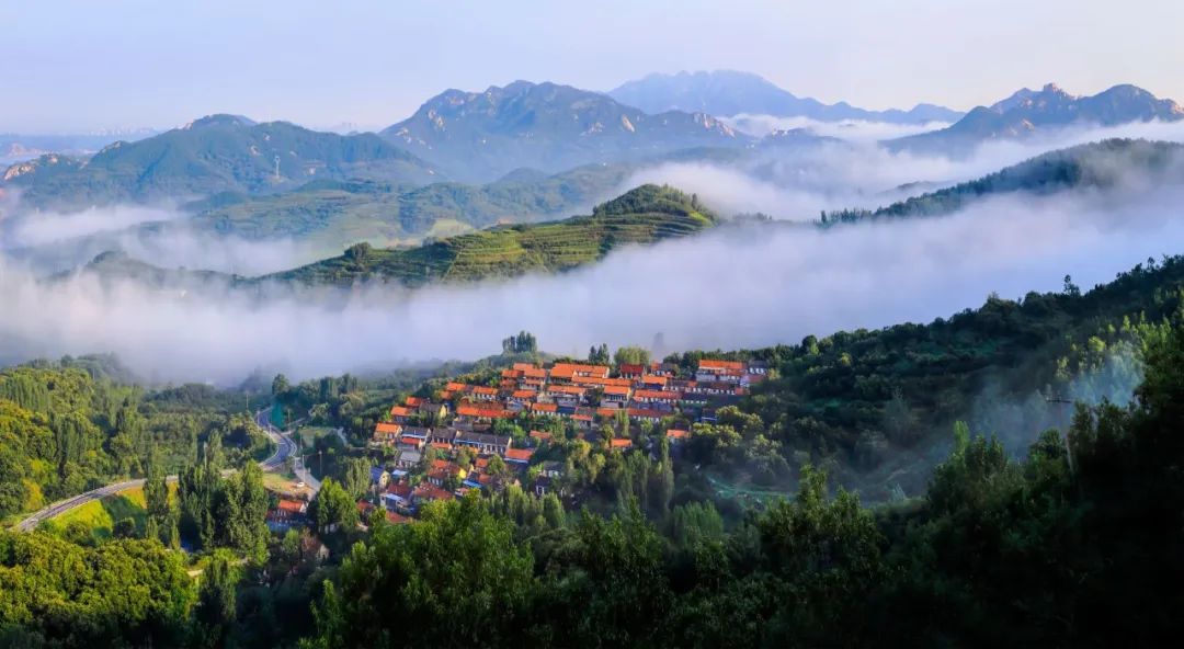 谁不说俺家乡好山东农民,谁不说俺家乡好山东大合唱视频