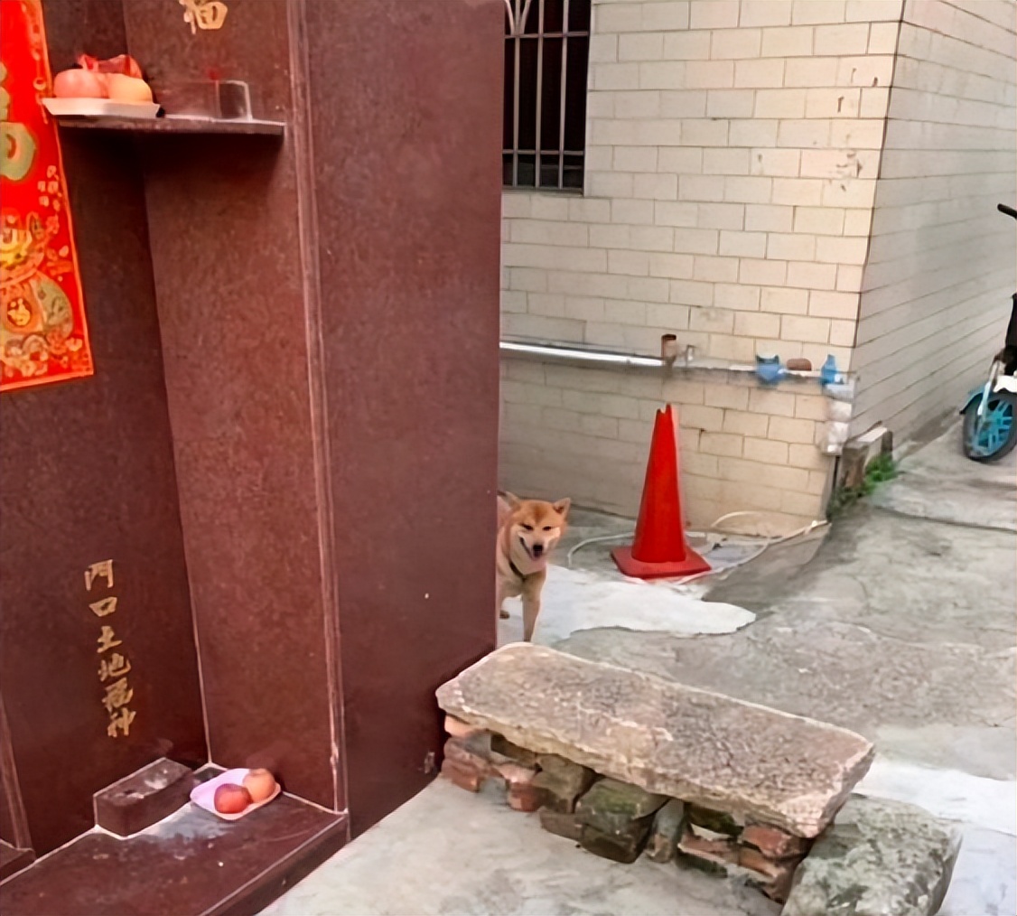 不小心把大尺度小说发给老师后...没逝的这辈子很快就过去了哈哈