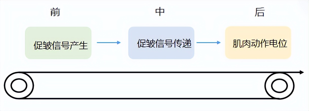 介绍一个名字吓人的皱纹杀手