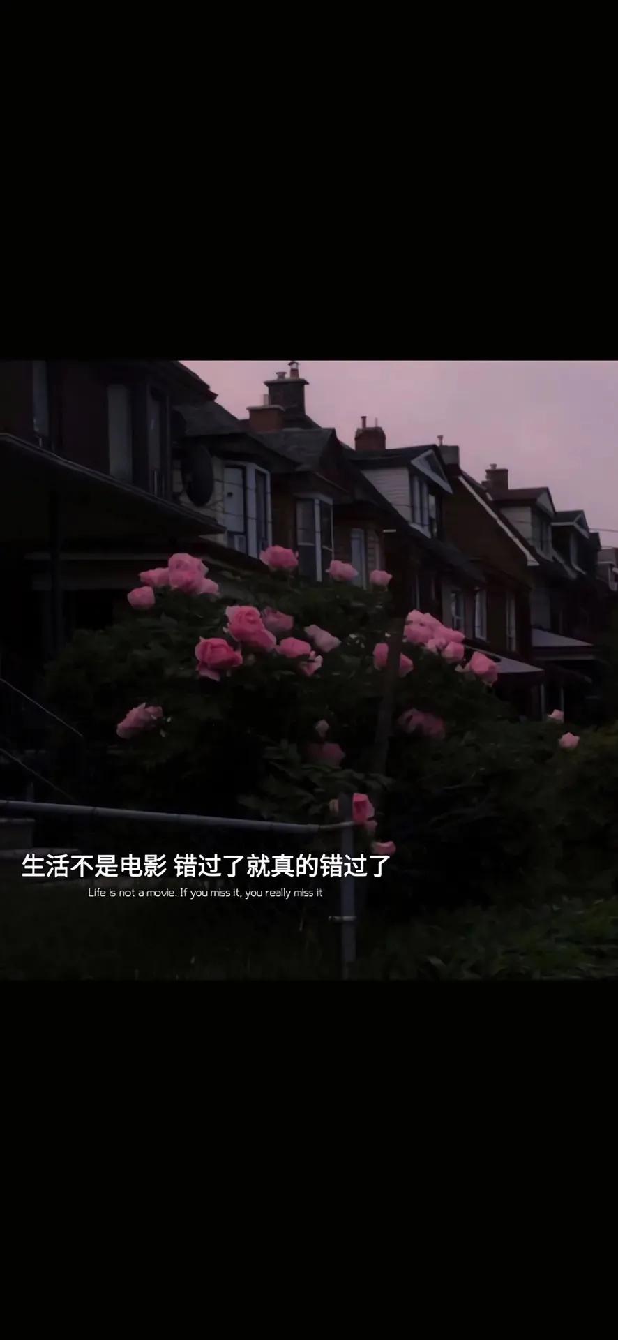 抖音励志语录句子,抖音最火的句子励志语录