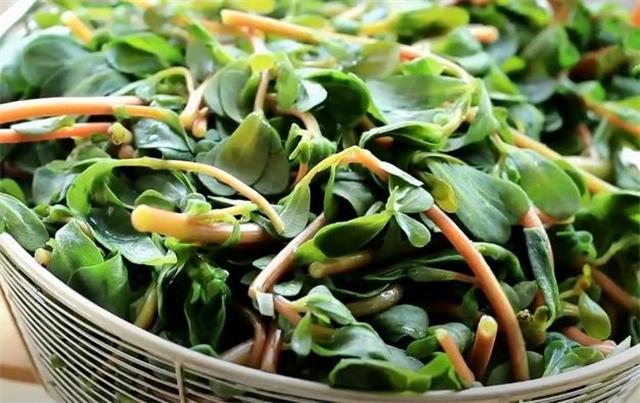 马齿苋简单的家常做法,马齿苋怎么做好吃又简单