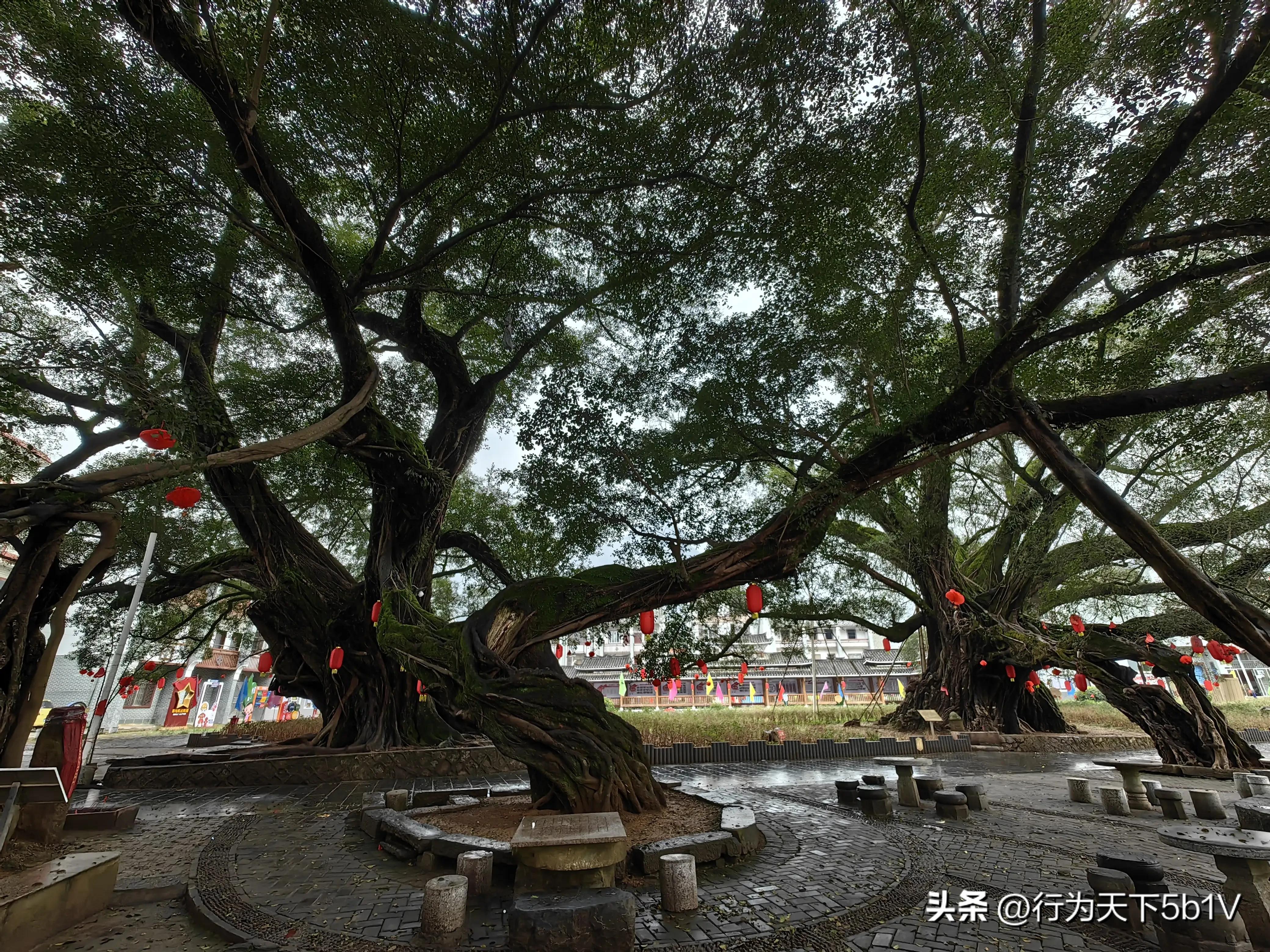 【平乐十里画廊鬼斧神工伟人石像】穿越唐*平宋**乐榕津千年古镇！