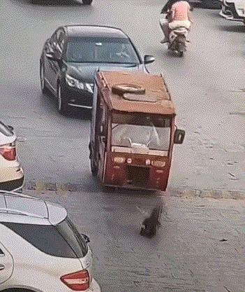 “是小蛇出了轨，还是青蛙劈了腿？”这是现实版的美杜莎？哈哈