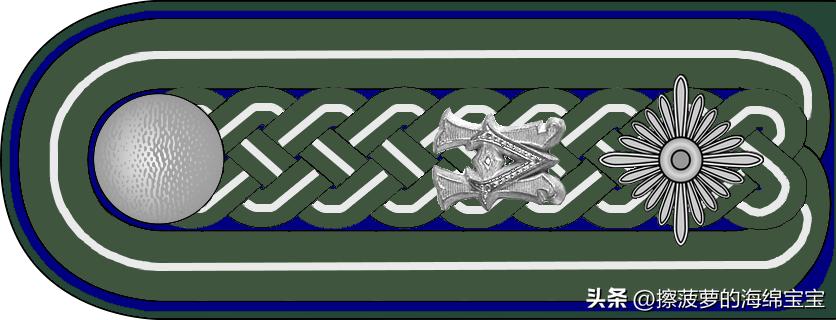 二战德国国防军医疗兵军衔标志