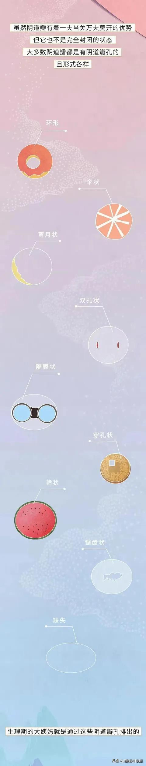 成年人如何了解性知识,普及正确的两性知识