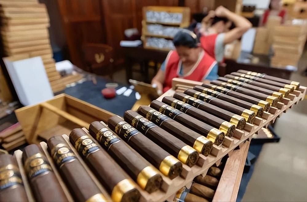 782万一根的雪茄,最贵一根烟雪茄