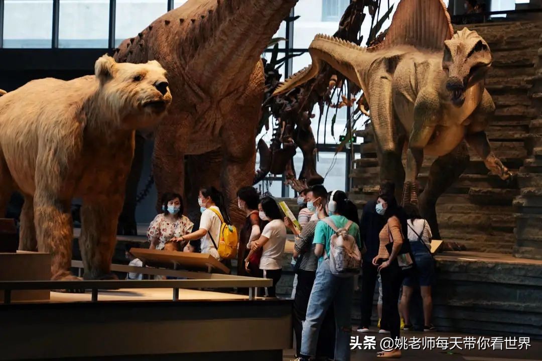 春节上海亲子游乐攻略,上海亲子游乐去哪里