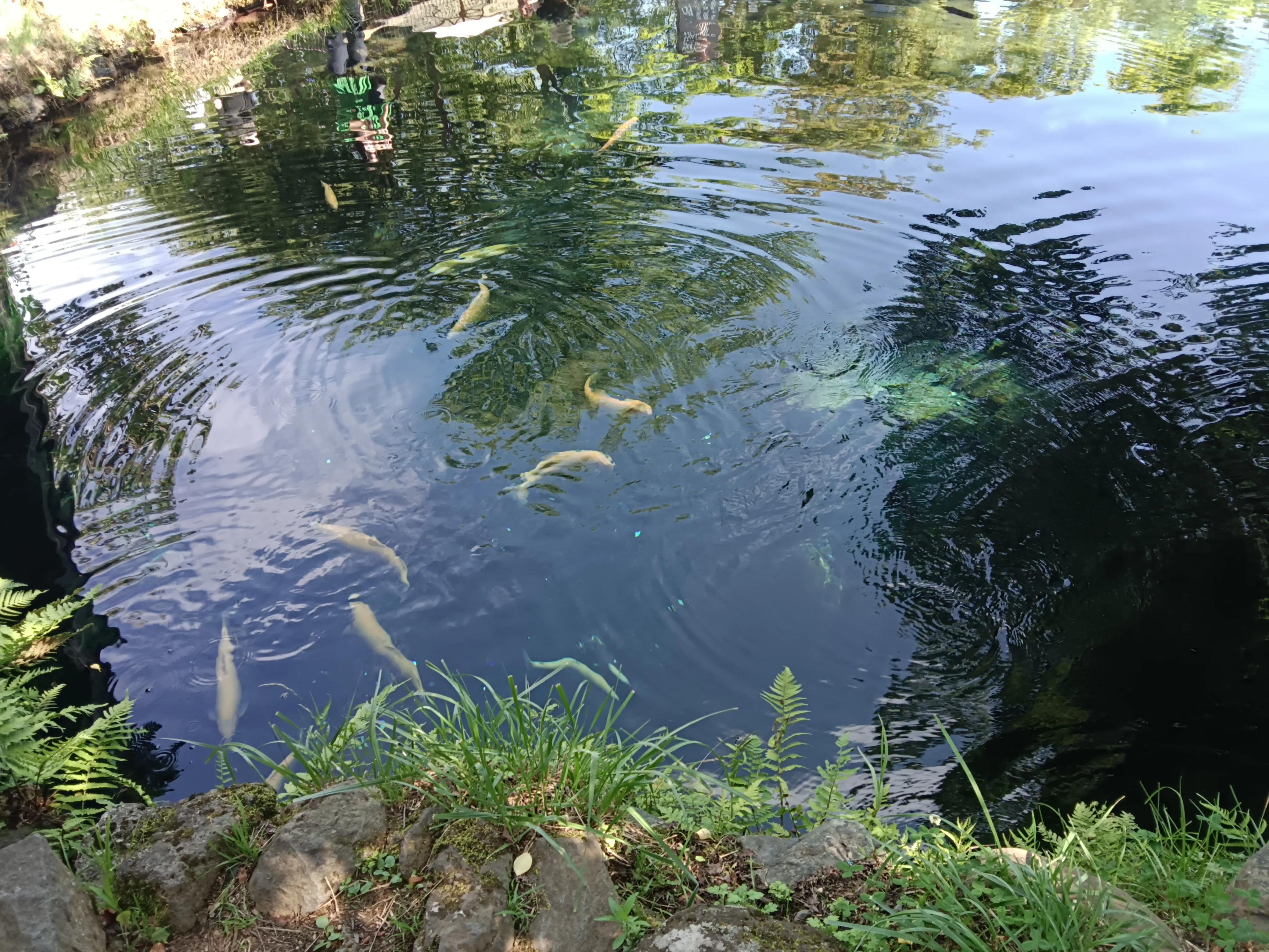 肖战日本之行完整版,日本之旅有几站