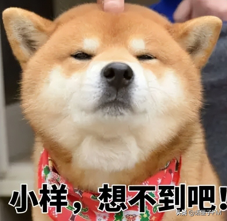 校园app乱象出现的原因,校园app乱象怎么解决