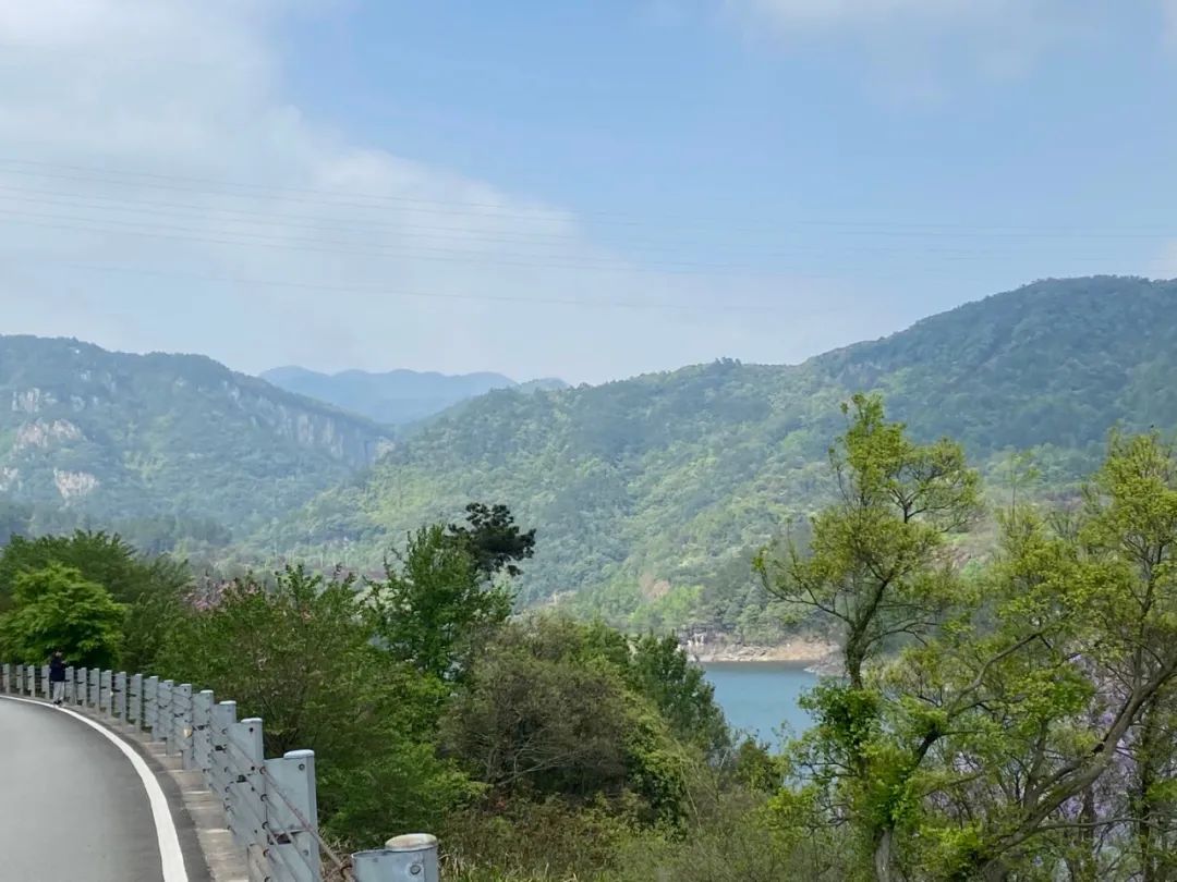 劳务分包合同管理费,劳务分包合同价格综合优惠下降率