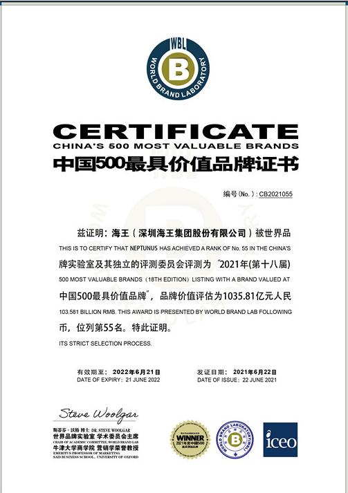 海王药业2009年全国销售冠军,海王品牌是世界500强吗