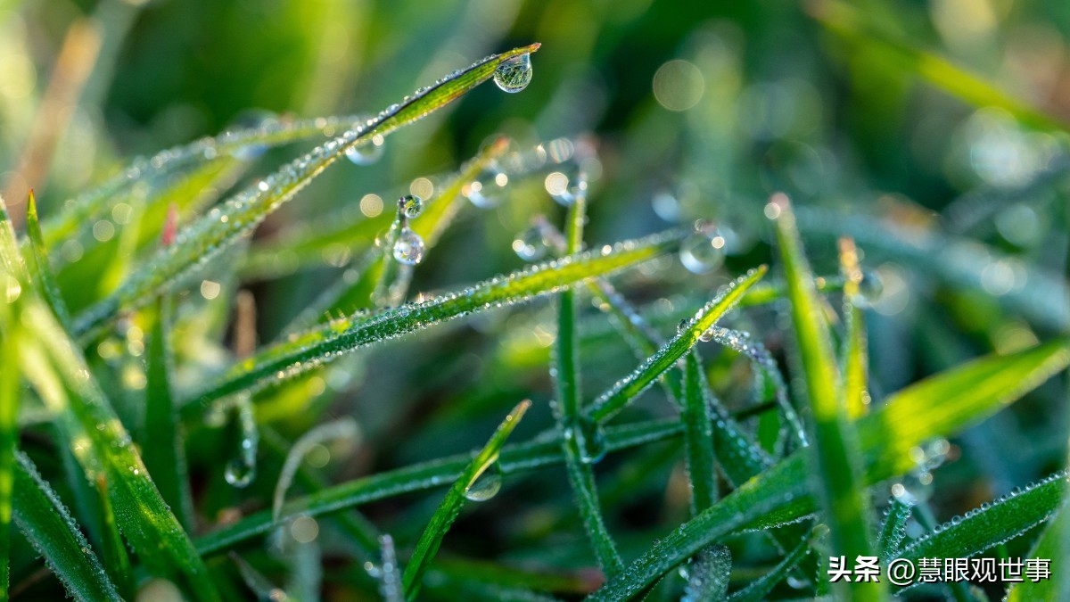 自然现象的古诗词,学生必背古诗词41到60句