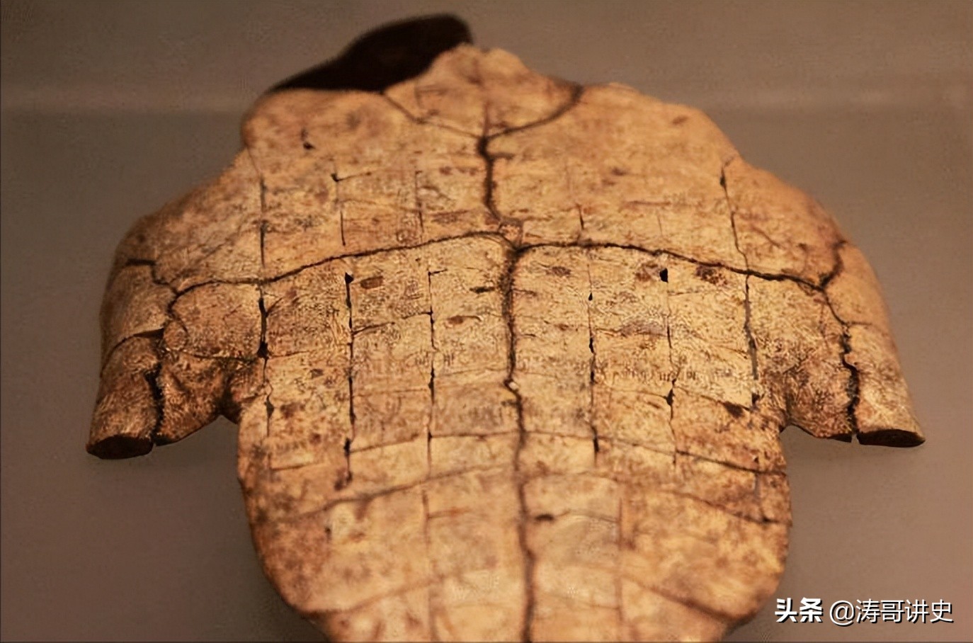 殷墟发现白人遗骨,殷墟遗址出土白人头骨