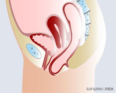 粑粑拉不出来是为什么,粑粑拉不出来按哪里