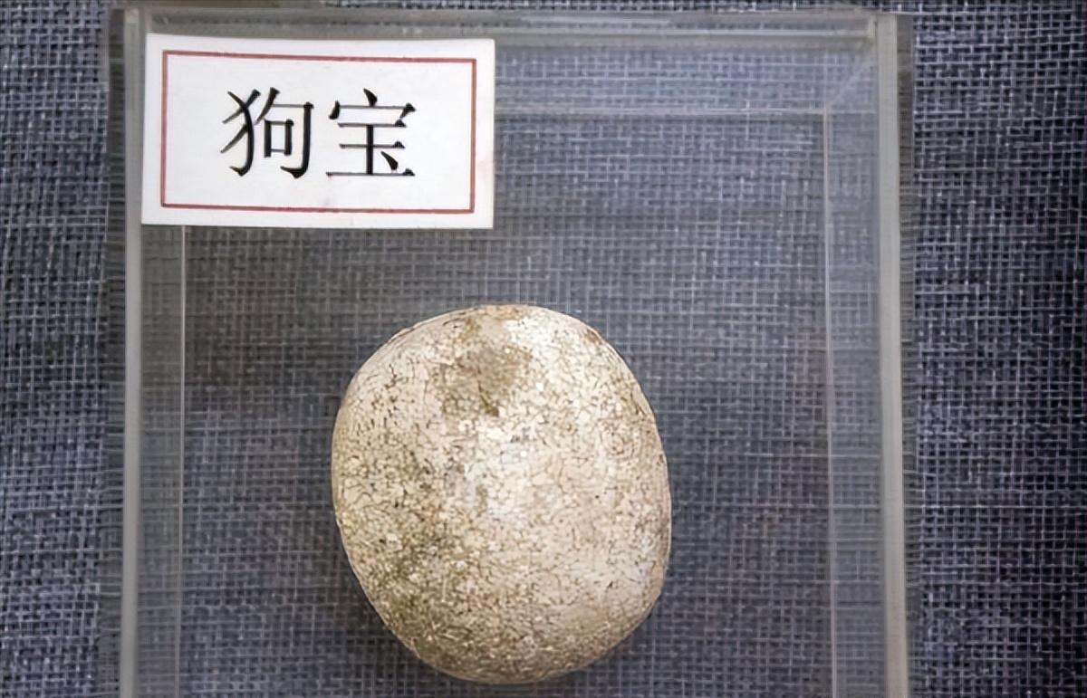 养了八年的土狗能卖掉吗,为什么有人收购十年以上的土狗