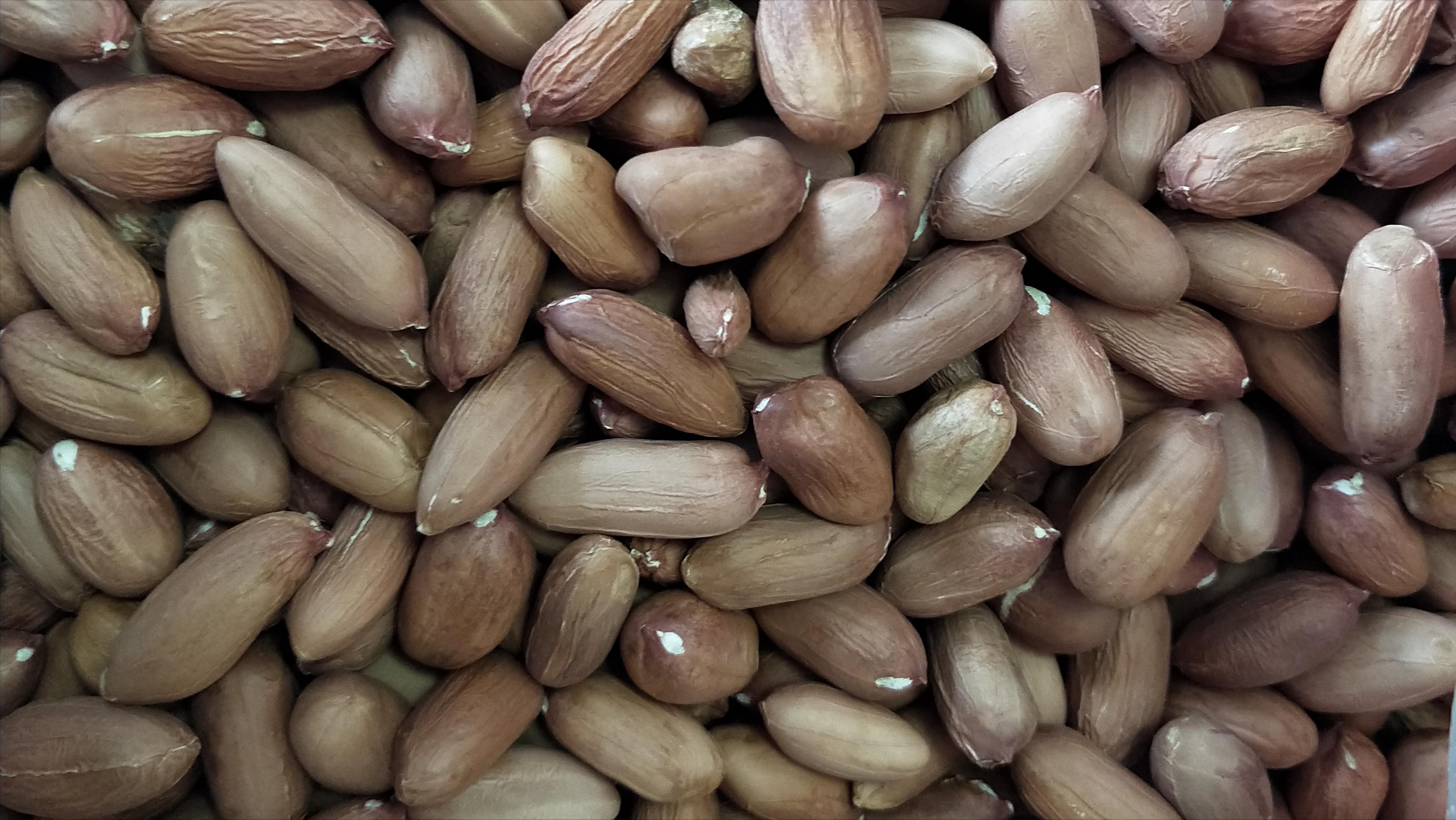 花生出苗后要高产应怎样管理,花生出苗条件