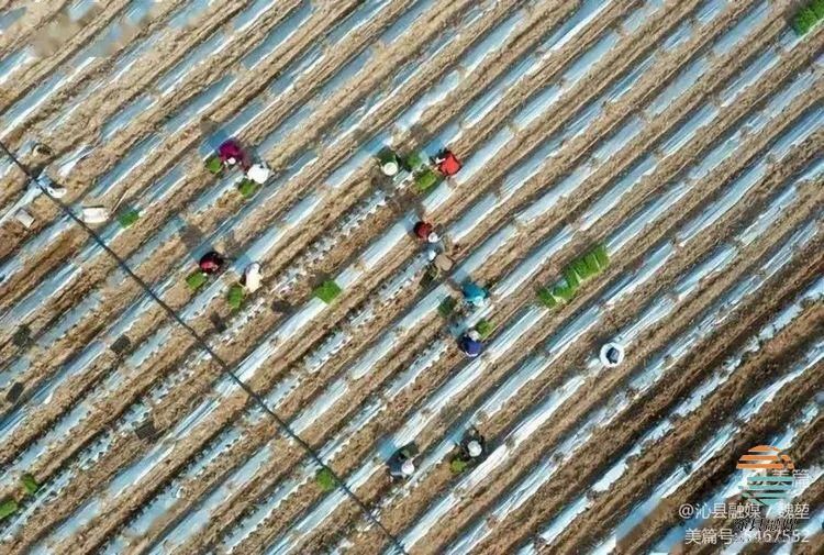 沁县绘就乡村振兴好“丰”景