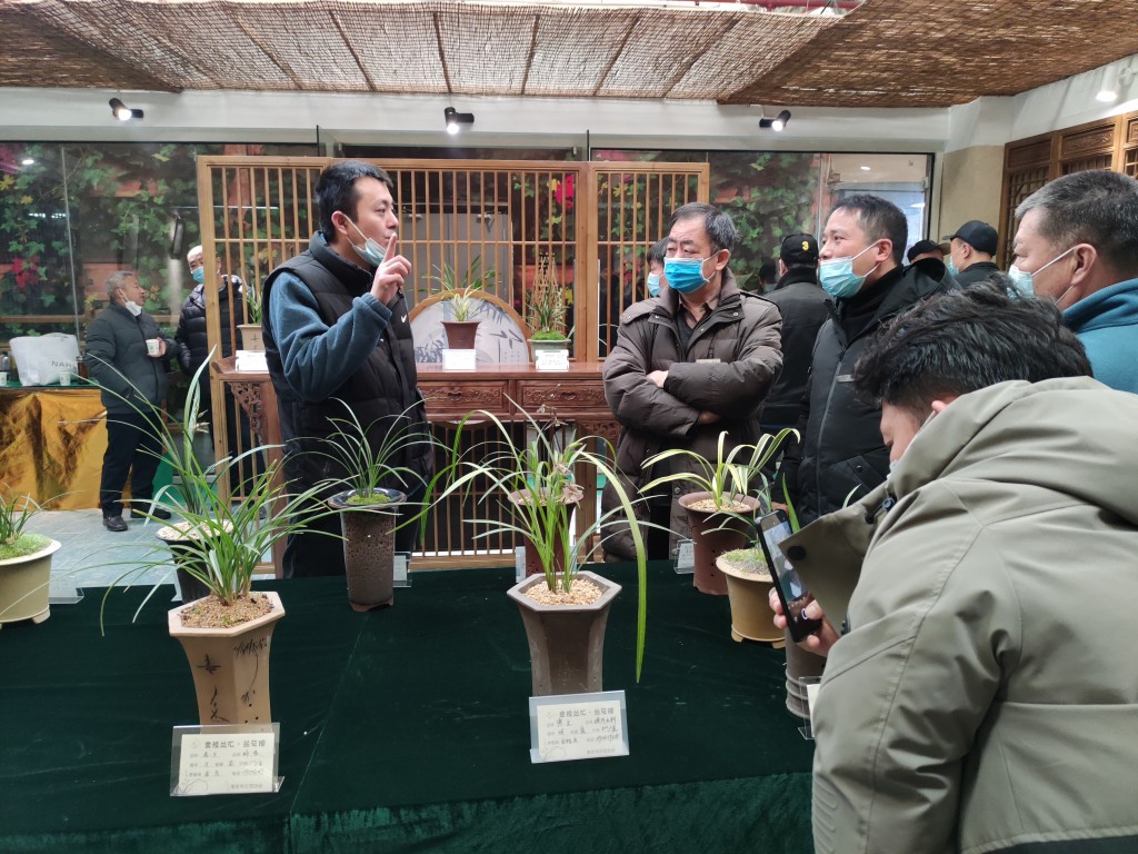 “金陵兰汇”兰花馆于江宁湖东29盛大开业,香飘四溢