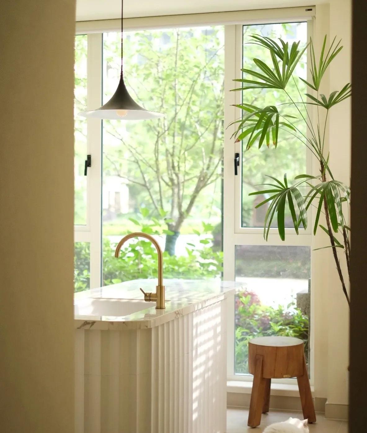 最好养的客厅一对大盆绿植,适合客厅养的十款大盆绿植