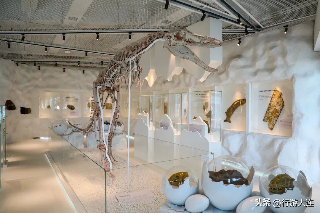 十一嗨玩计划,大连十一去哪儿玩推荐