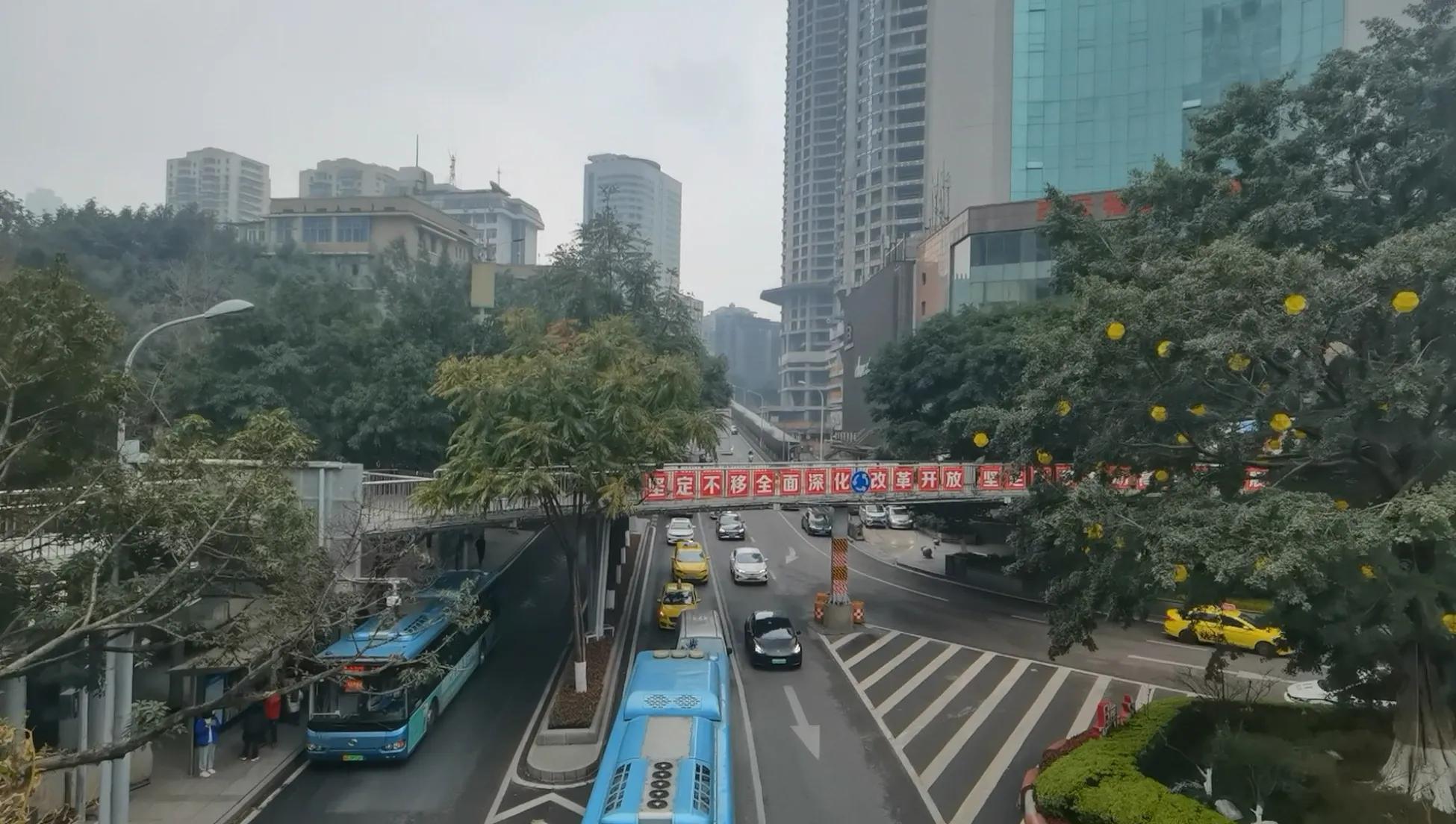 春游开拓眼界,春游樱花广场图片