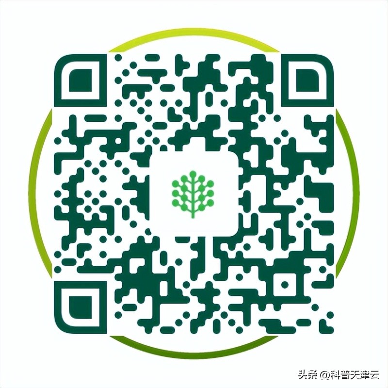 你了解你的指甲吗？如何正确地修剪指甲呢？