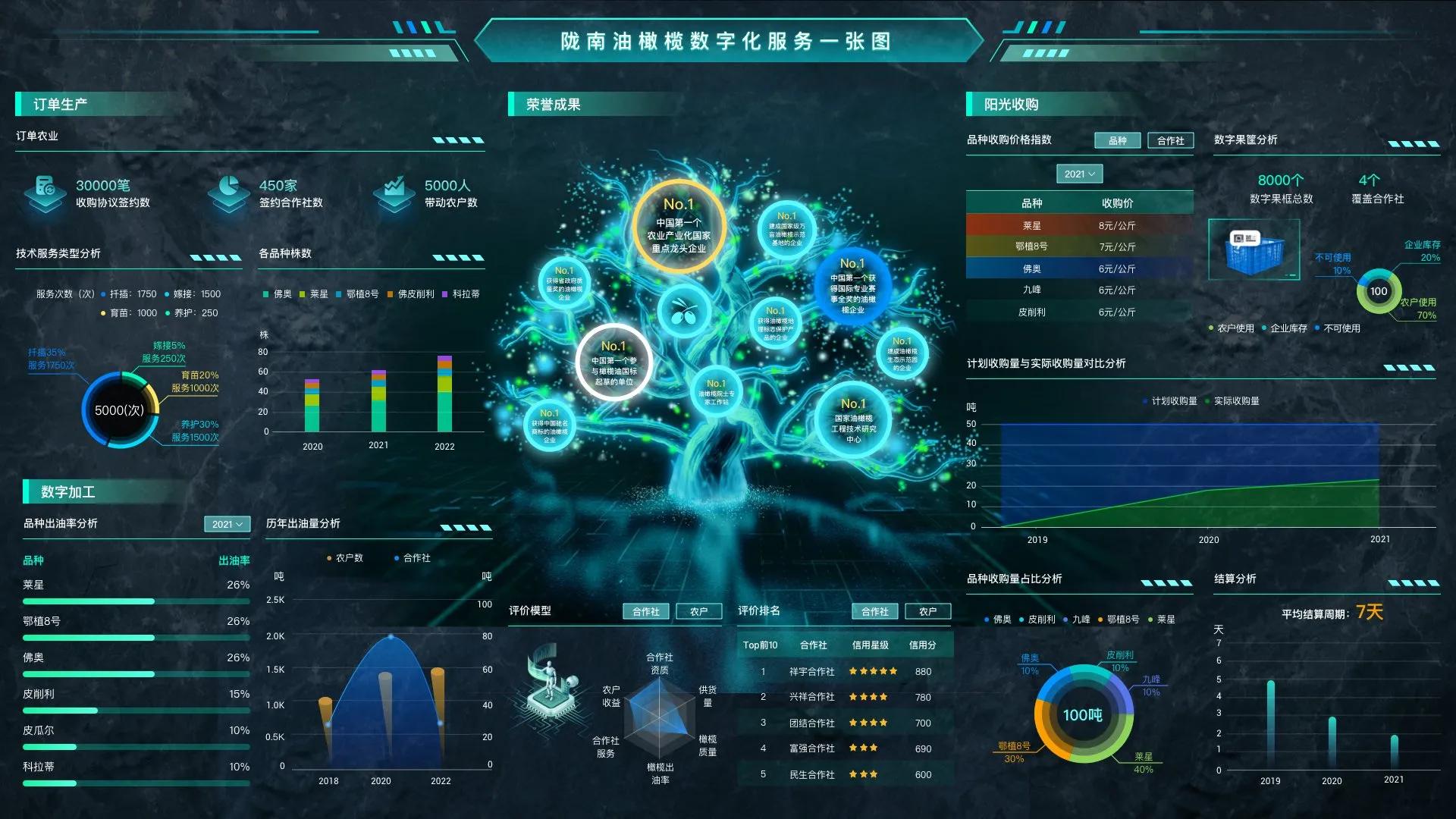 阿里巴巴振兴乡村经济,阿里巴巴在浙江参与乡村振兴计划