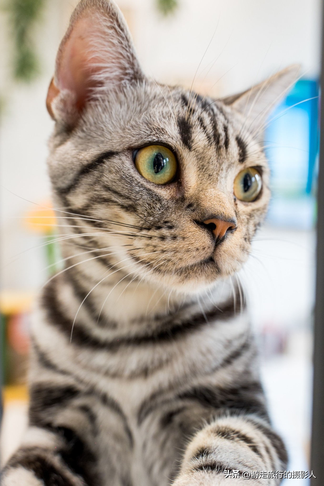 两夜一天游北京,石景山模式口古街