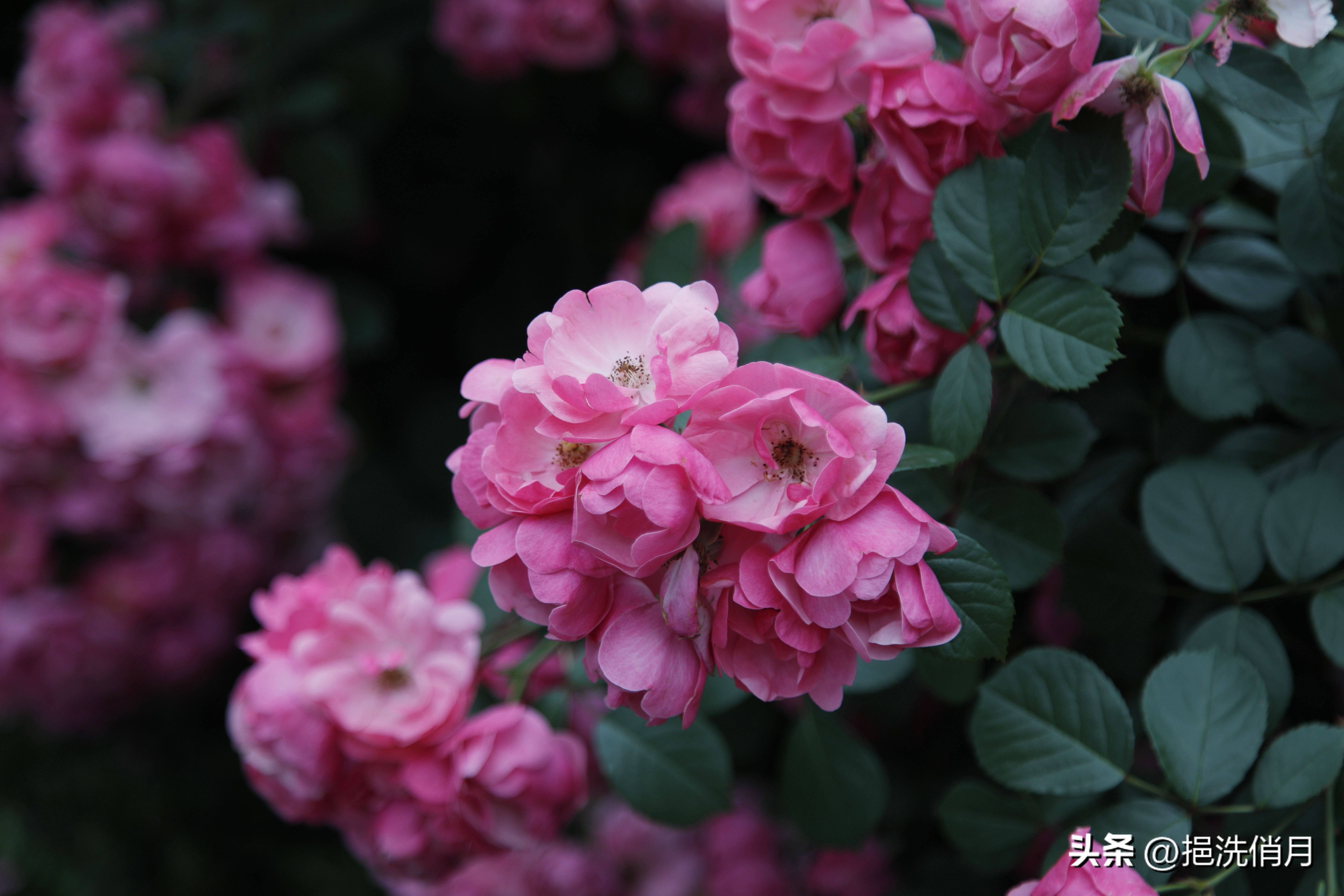 摆事实讲道理很难说服人,说服别人最好的办法就是说到做到