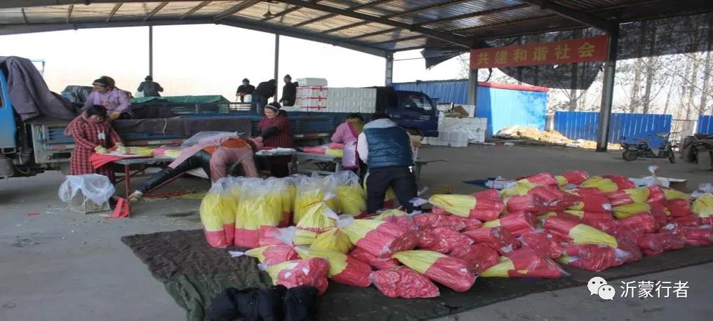 平邑大蒜加工地点,平邑大蒜生产地