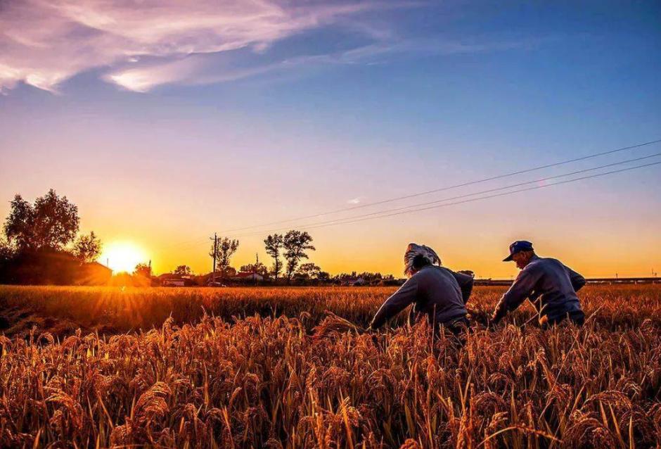 陶醉在秋天的诗句,陶醉在秋天美景