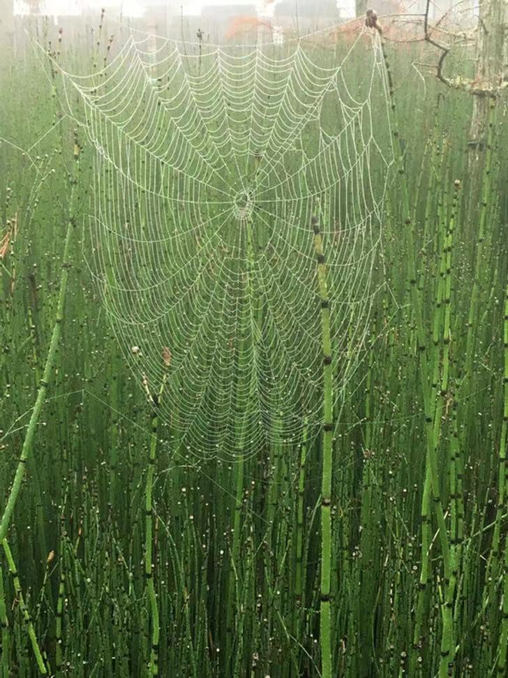 21张罕见照片让人眼界大开,26张令人惊叹的罕见图