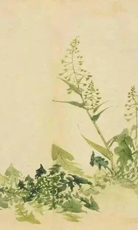 陈丽华：走进诗经里